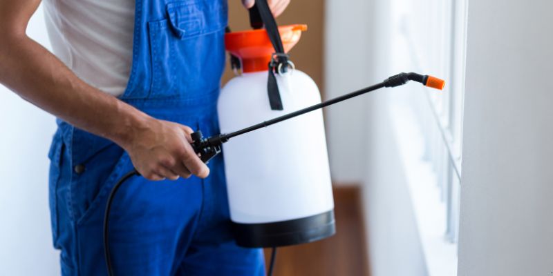 Como fazer dedetização em casa em Canoas