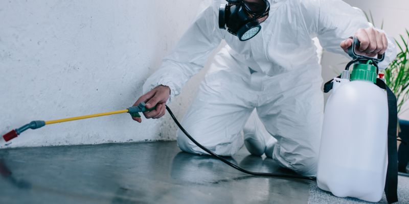 Como é feita a dedetização de baratas em Canoas