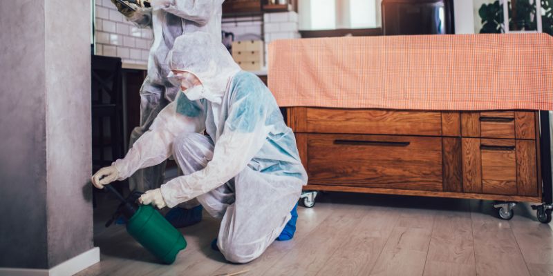 Dedetização em Apartamento Como Funciona em Canoas: Confira 4 Passos