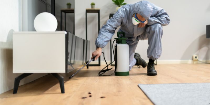 Quanto tempo dura uma dedetização em Canoas?